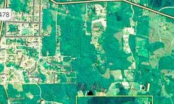 Imagem 5: Sítio Vereda Bonita - PERIQUERA AÇU - VALE DA RIBEIRA