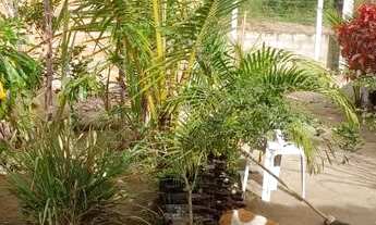 Imagem 3: Casa a venda Casa com 2 dormitórios