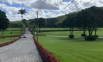 Imagem 6: Jazigo jardim da saudade