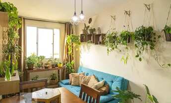 Imagem 2: Apartamento para Aluguel - Ponte Rasa, 2 Quartos, 50 m2