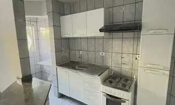 Imagem 7: Maringá - Apartamento - Jardim Universitário