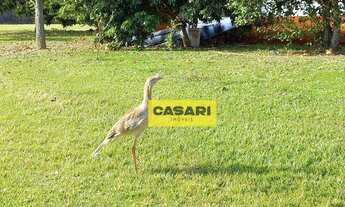 Imagem 7: Terreno à venda, 1014 m² - Jatobá - Cesário Lange/SP