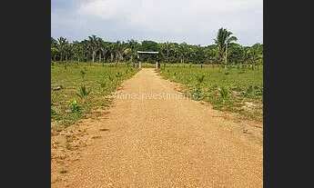 Imagem 3: Cód.: 1203 - Casa 2 quartos - Travessão do Paulo