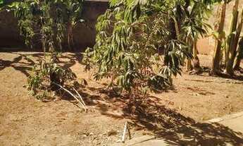 Imagem: Vendo casa em Cardoso