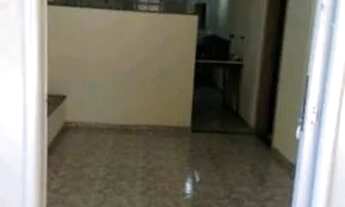 Imagem 4: FESTIVAL DE ALEGRE - ALUGO