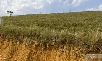 Imagem 2: CANELINHA - Terreno Padrão - Centro
