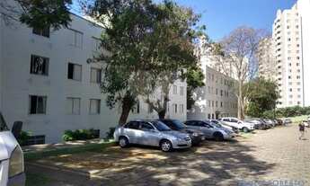 Imagem 5: APARTAMENTO - BUTANTÃ - SP