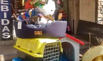 Imagem 6: Passo ponto Banho e tosa em Bento Ribeiro