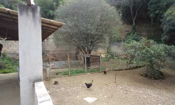 Imagem 7: PONTE NOVA - Casa Padrão - Rasa