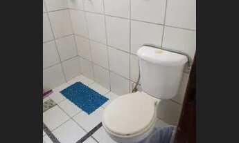 Imagem 7: Alugo apartamento ótima