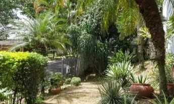 Imagem 4: Venda Casa 3 Dormitórios - 370 m² Alto de Pinheiros