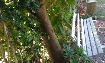 Imagem 7: Aluguel Quarto com aluguel por R$850 /mês