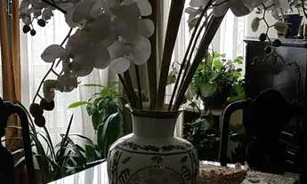 Imagem 4: Apartamento Venda Higienópolis 142 m² 3 Dormitórios