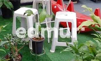 Imagem 5: APARTAMENTO no bairro Vila Alzira com 132m². 3 dormitórios e 1 vagas. Confira