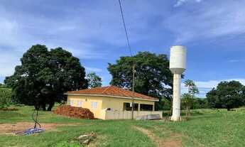 Imagem 4: Sitio de 12 alqueires próximo a Catanduva-SP