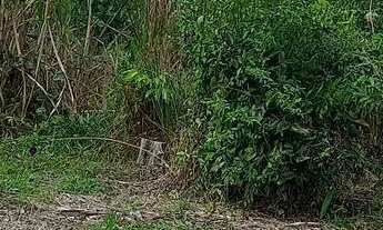 Imagem 4: Vende-se terreno no interior..