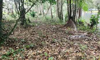 Imagem: SOMENTE VENDA