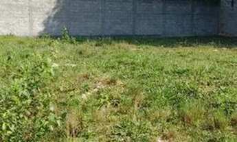 Imagem 7: Vendo casa com terreno 400m²