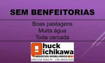 Imagem 5: FAZENDA DE 550 TAREFAS - Nossa Senhora das Dores