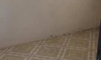 Imagem 5: Aluga-se casa 400