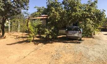 Imagem 2: Sitio 1500 m², casa, cisterna, plano, terra fértil, arvores frutíferas, fogão a lenha