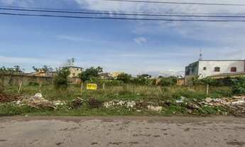 Imagem: Terreno para aluguel Pelotas