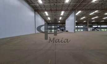 Imagem 4: Locação Galpão Campinas Centro Ref: 42639