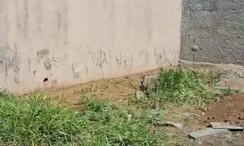 Imagem 4: ótimo lote de 200m² - Trecho 03 da Vicente Pires