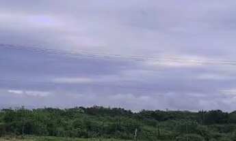 Imagem 7: Vendo excelente terreno em Conceição do jacuipe