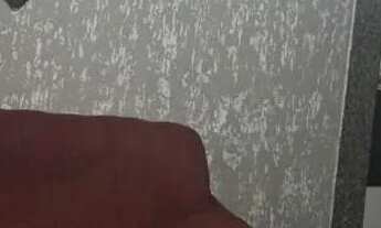 Imagem 3: Casa a venda R$56,500