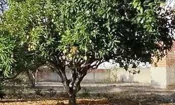 Imagem 4: Térrea para venda possui 110 metros quadrados com 1 quarto em Zona Rural - São José de Mip