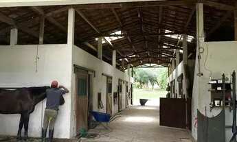 Imagem 3: HARAS - Itu - SP
