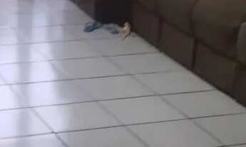 Imagem: Caiobá apart