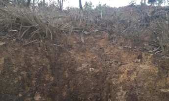 Imagem 3: Lote Registrado - 360m² Melo Viana