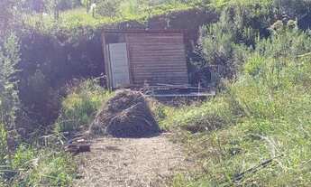 Imagem 6: Terreno de posse 264m2