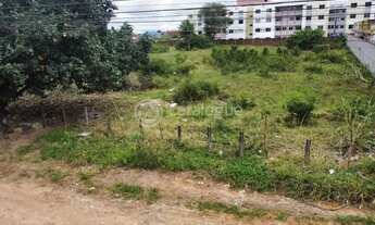 Imagem 5: Terreno no Bairro do Planalto