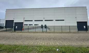 Imagem 4: Imóvel Comercial para Locação em Tijucas - SC: Excelente Área Logística com Infraestrutura