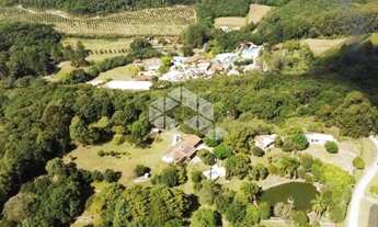 Imagem 4: Excelente chácara semimobiliada à venda na Linha Jansen, Farroupilha/RS