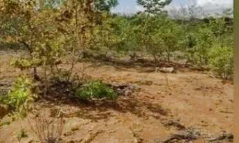 Imagem: FAZENDA - 1.500 HECTARES