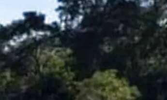 Imagem 2: Área rural com vista para o nascer do sol, em zona rural de Trindade-GO (Santa Maria-GO)