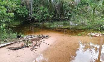 Imagem 5: Chacara de 3 hectares na estrada do manso 38 km da cidade de Cuiabá-MT