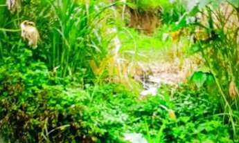 Imagem 2: Terreno à venda, Chácara Santa Cecília, 5x25 aclive