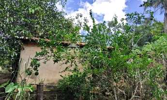 Imagem 4: SÍTIO EM ABADIÂNIA - 28,8 HECTARES (5,9 ALQUEIRES