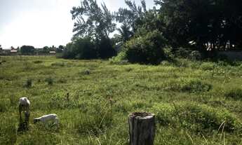 Imagem: Terreno de 2.600 metros quadrados em maracajaú