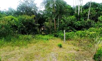 Imagem 3: Vende-se terreno com igarapé