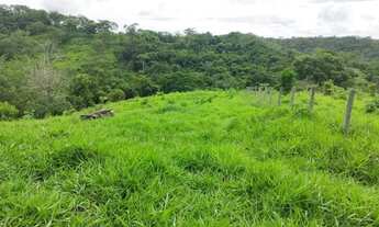 Imagem 3: Chácara disponível para venda em São Miguel do Passa Quatro Goiás