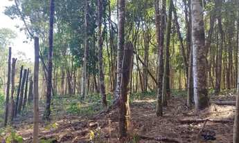 Imagem 5: Terreno região de Caeté / Barão de Cocais