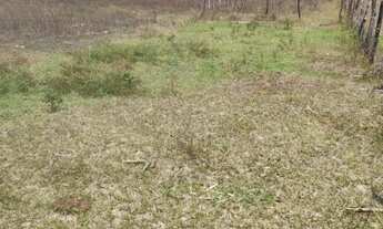 Imagem 3: Terreno Plano 640m² - Oportunidade! aceito proposta! troca ! União dos Palmares