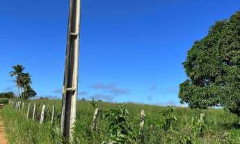 Imagem 6: Vendo Sítio Chácara com venda por R$800.000