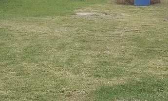 Imagem 4: Casa no pilar , rua do salão de festas stylos